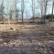 Cleared area of all trees and stumps.